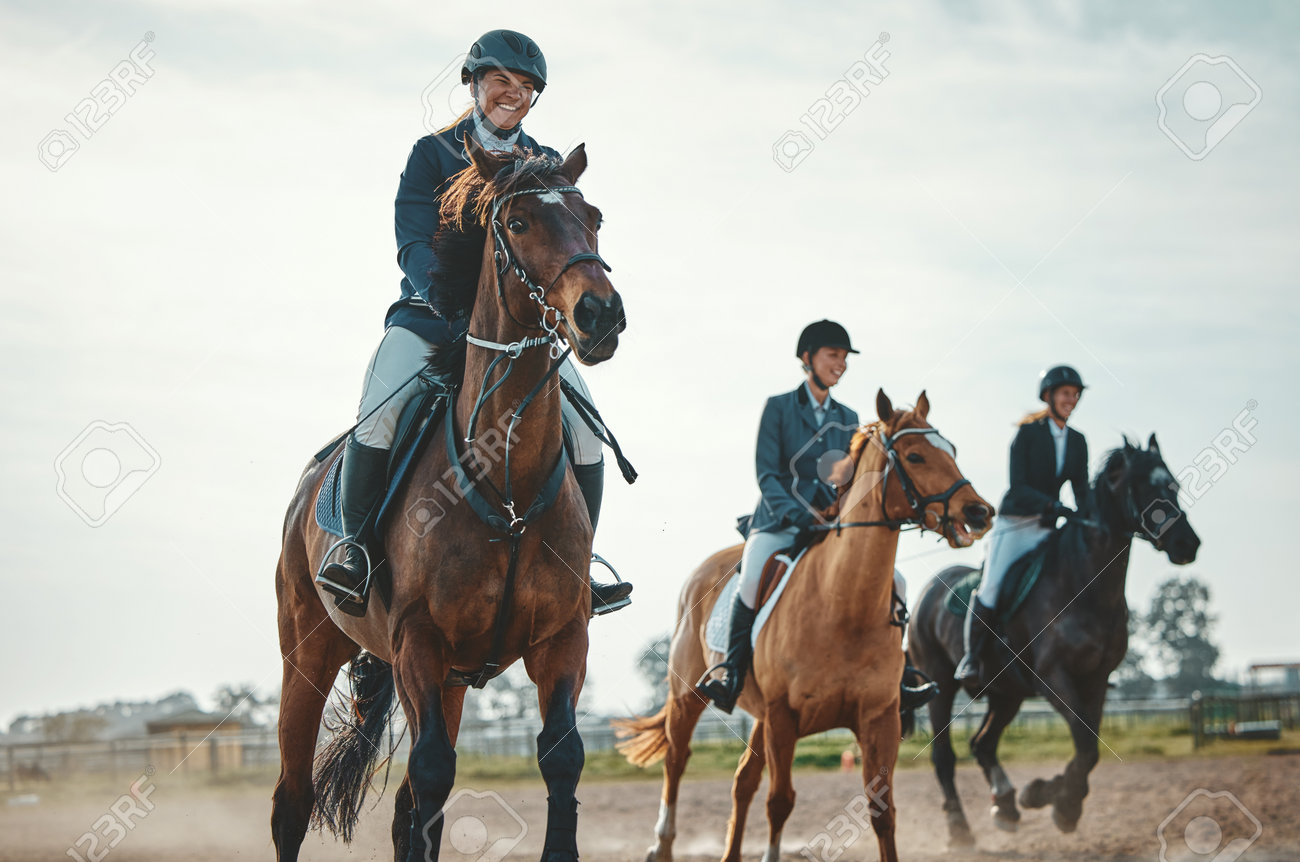 Cavaleiros competindo em uma competição equestre no campo, retratando a conexão entre animais e seres humanos.