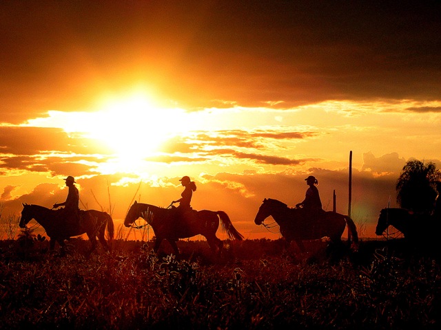 Cavaleiros desfrutando de uma cavalgada pelo campo