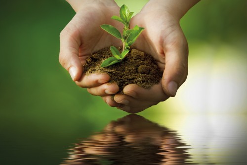 Um fazendeiro cultivando em um campo verde com técnicas de plantação sustentável.