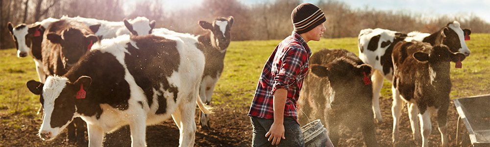 Cuidados com Animais de Fazenda