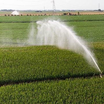 Irrigação em campos rurais com foco na agricultura irrigada.