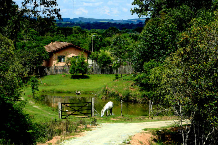 Uma paisagem rural deslumbrante retratando a beleza da vida no campo com campos verdejantes e céu azul.