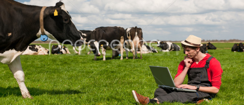 Fazenda country com animais e paisagem rural