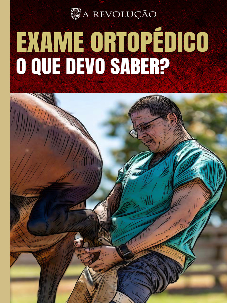 Veterinário examinando um cavalo em uma clínica de ortopedia