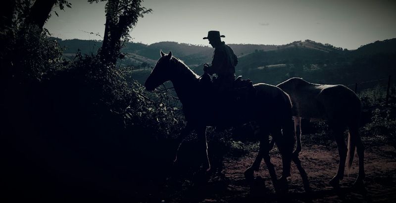 Cavalgada noturna sob o céu estrelado, com cavaleiros em um campo rural.