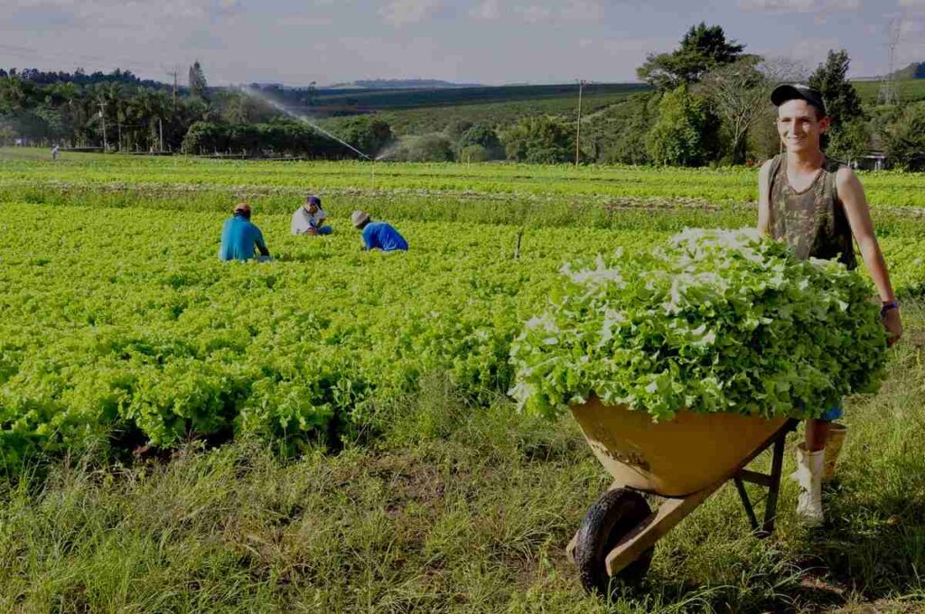 Uma linda paisagem de uma comunidade rural, com fazendas e campos verdes sob um céu ensolarado.