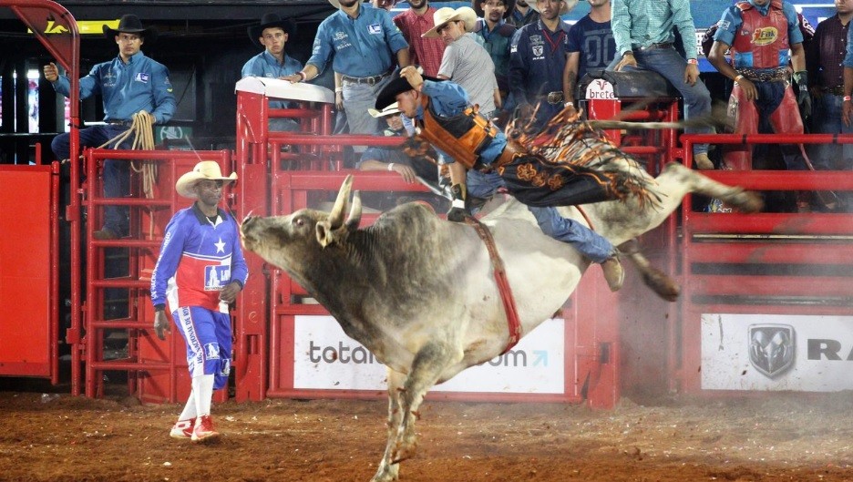 Montaria em touros e cavalos em uma festa country