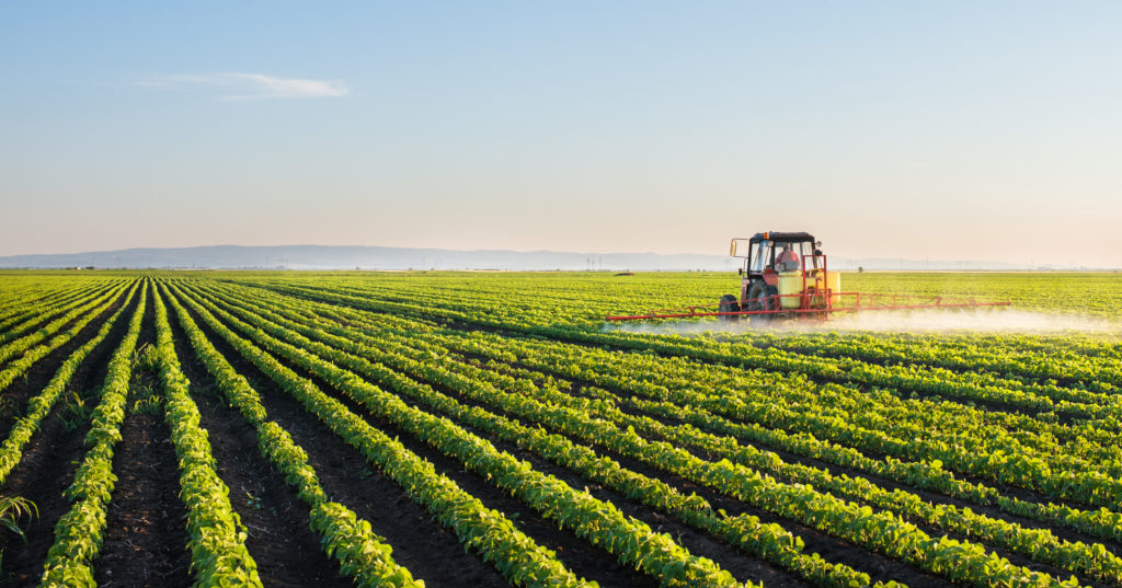 Técnicas de agropecuária em uma fazenda country, mostrando práticas sustentáveis e produtivas.