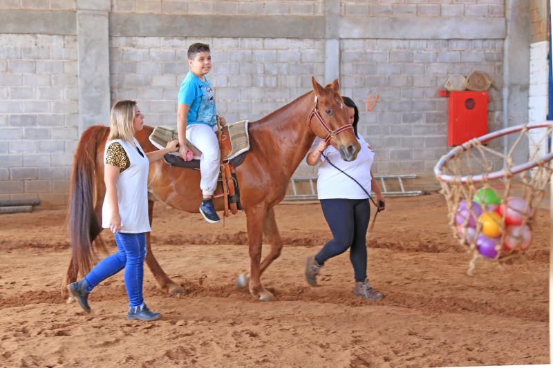 Cavalo pastando em um campo aberto, representando a conexão entre humanos e equinos em terapias.