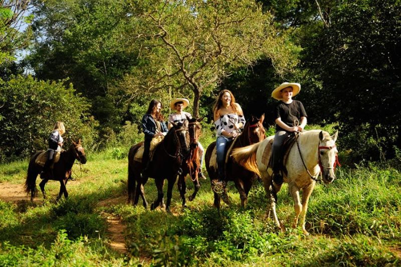 Cavalgada em um cenário natural, simbolizando a conexão entre o turismo rural e a preservação da natureza.