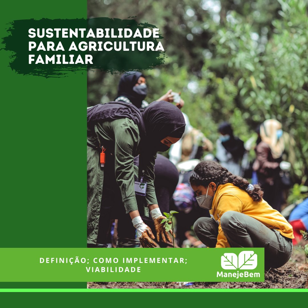 Cenário de uma fazenda sustentável com práticas agrícolas amigáveis ao meio ambiente.