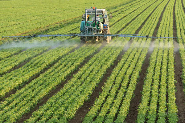 Técnicas de cultivo em um campo country com plantação saudável