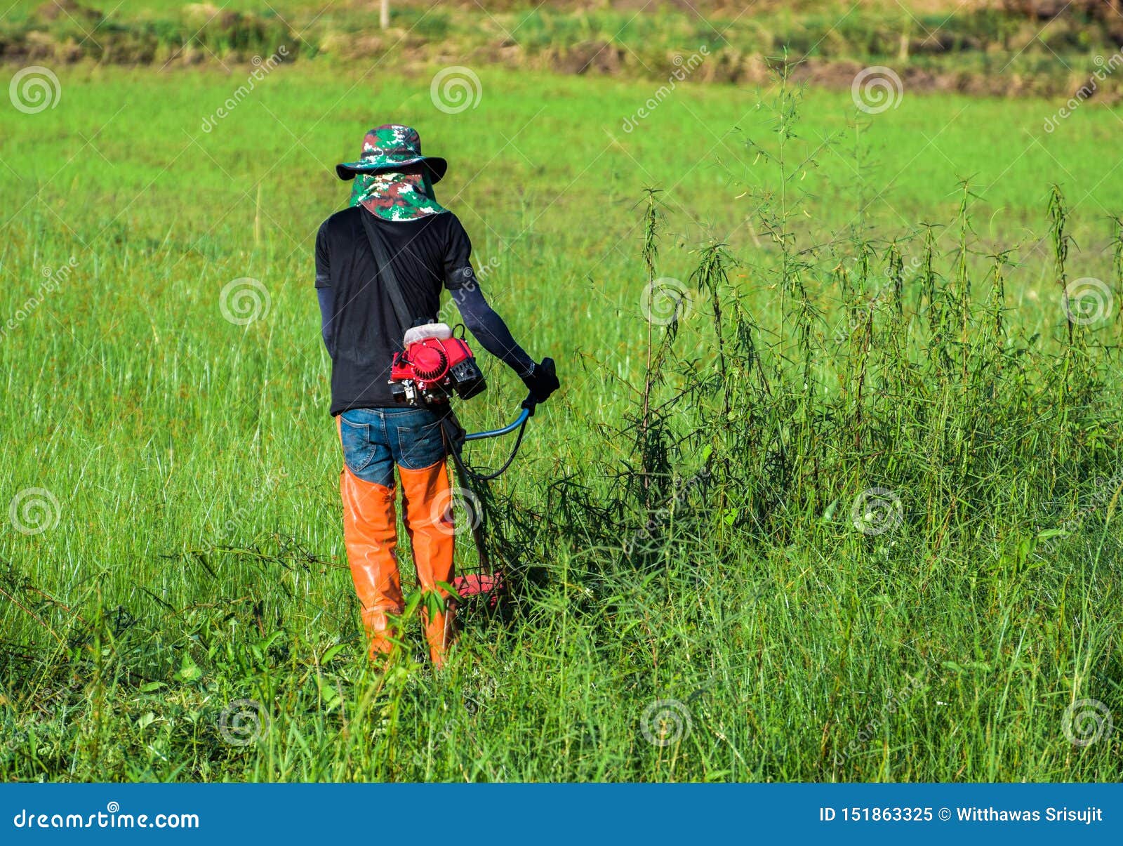 Fazendeiro usando um cortador de grama em uma fazenda