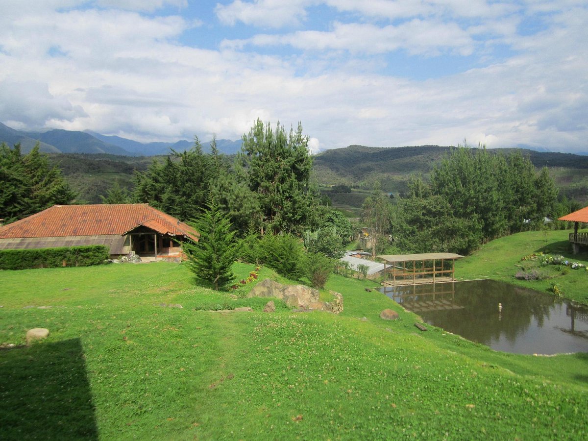 Pessoa desfrutando da natureza no campo com uma paisagem rural ao fundo.