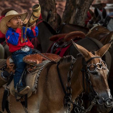 Cavaleiro montando um touro em um rodeio, cercado por espectadores animados e decoração country.