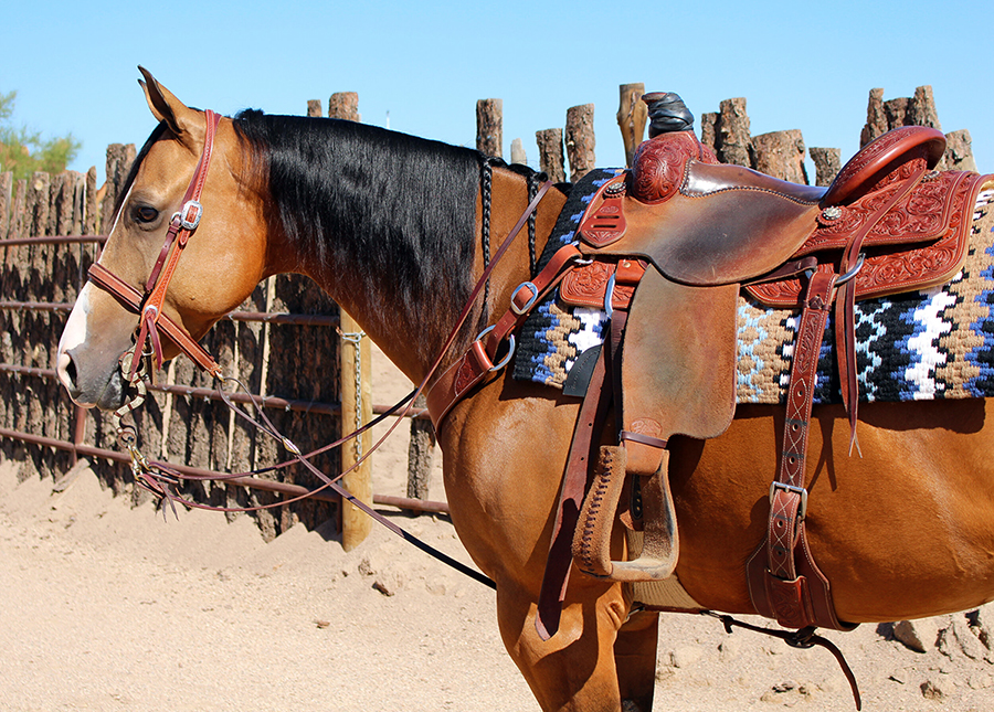 Equipamentos de cavalgada alinhados, incluindo sela e freio, prontos para um passeio country.