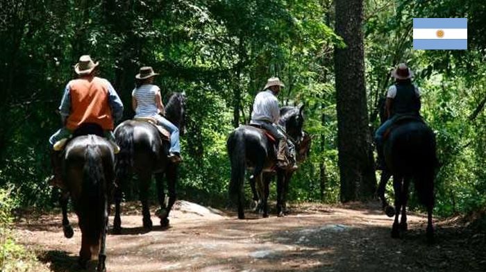 Cavalgada em um belo cavalo em um cenário rural