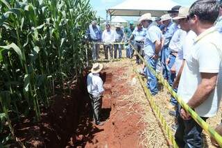 Técnicas de Plantio Sustentável em um ambiente rural com temas country