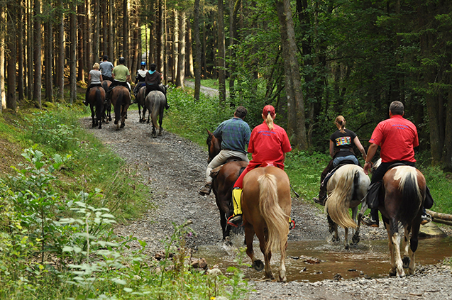 Cavalos em um cenário rural, simbolizando a conexão entre trabalho e lazer.