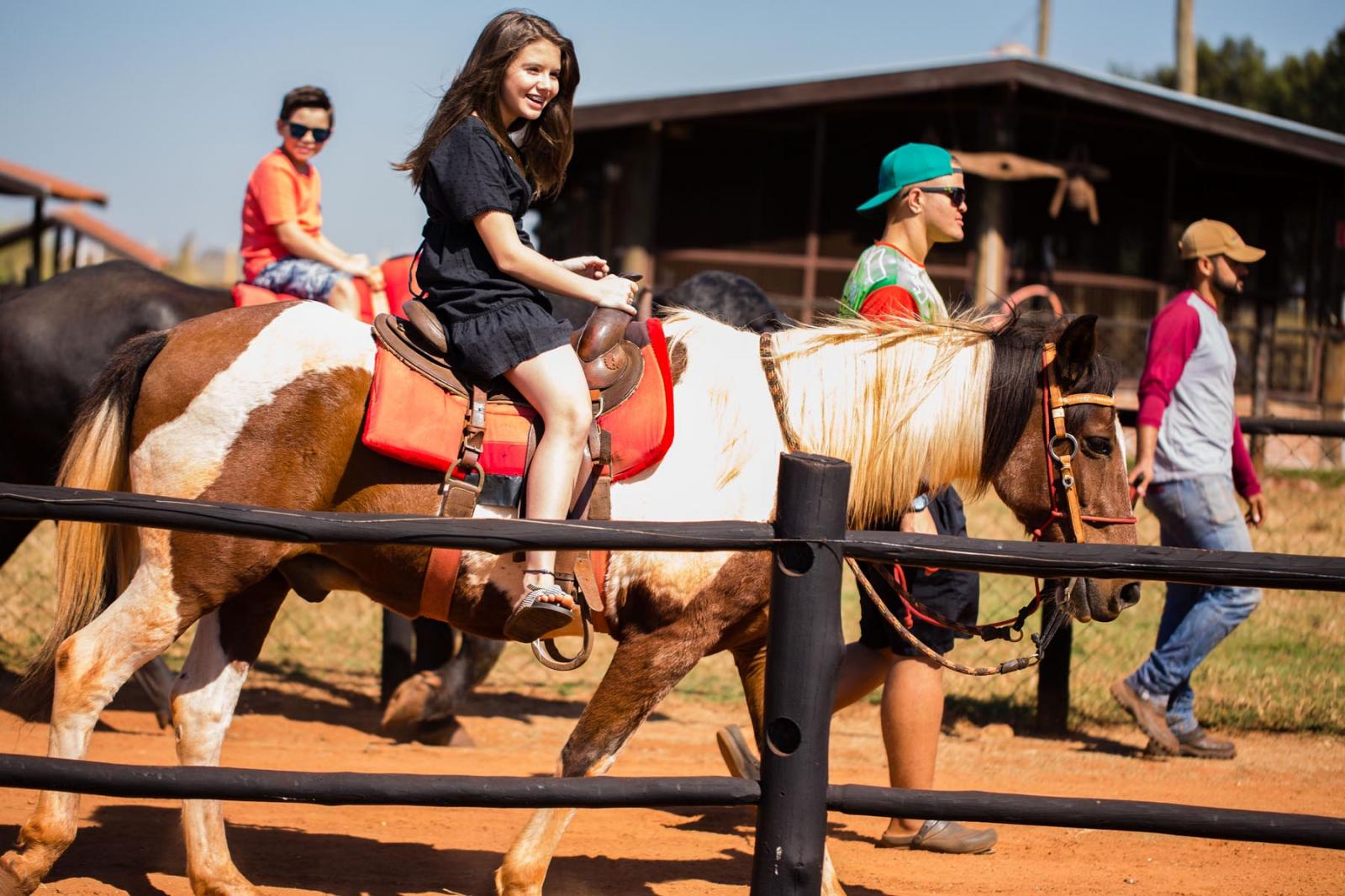 Cavalos de passeio em um cenário country