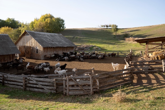 Uma linda paisagem rural com um celeiro vermelho e vacas pastando em um campo verdejante sob um céu azul.