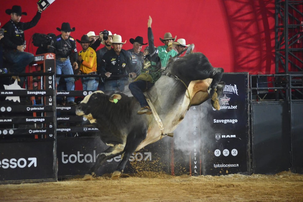 Montaria em rodeio com competidores em ação durante uma competição de team penning