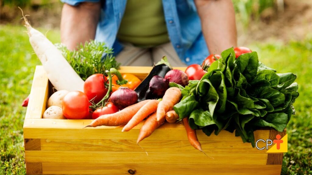 Imagem representativa do mercado de produtos rurais, mostrando fazendeiros e produtos frescos