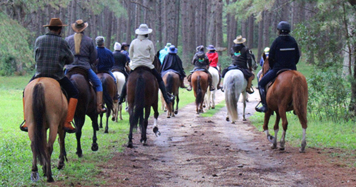 Pessoas montando cavalos em uma bela paisagem do campo, com montanhas ao fundo e um céu azul.