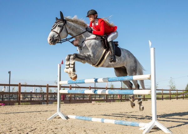 Cavaleiro em uma competição de hipismo montando um belo cavalo