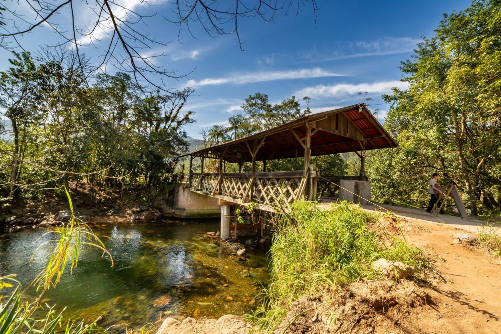 Cenário rural exuberante com campos verdes e árvores ao fundo, representando o turismo rural.