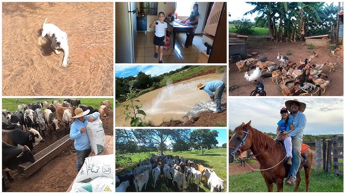 Um fazendeiro cuidando de suas plantações em uma linda fazenda country.