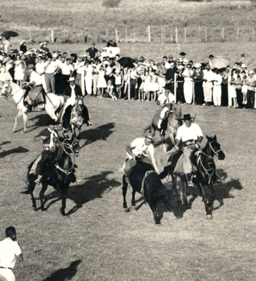 Um cavaleiro montando um touro em um rodeio ao ar livre, com espectadores animados ao fundo.