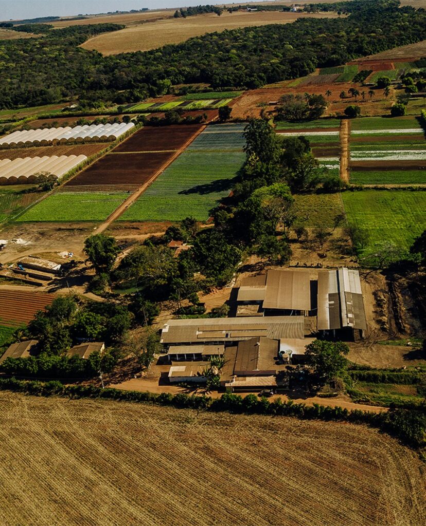 Fazenda orgânica com vista panorâmica de plantações à luz do sol