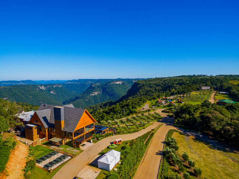 Visão deslumbrante de um campo rural em Gramado, com oliveiras e um céu azul claro.