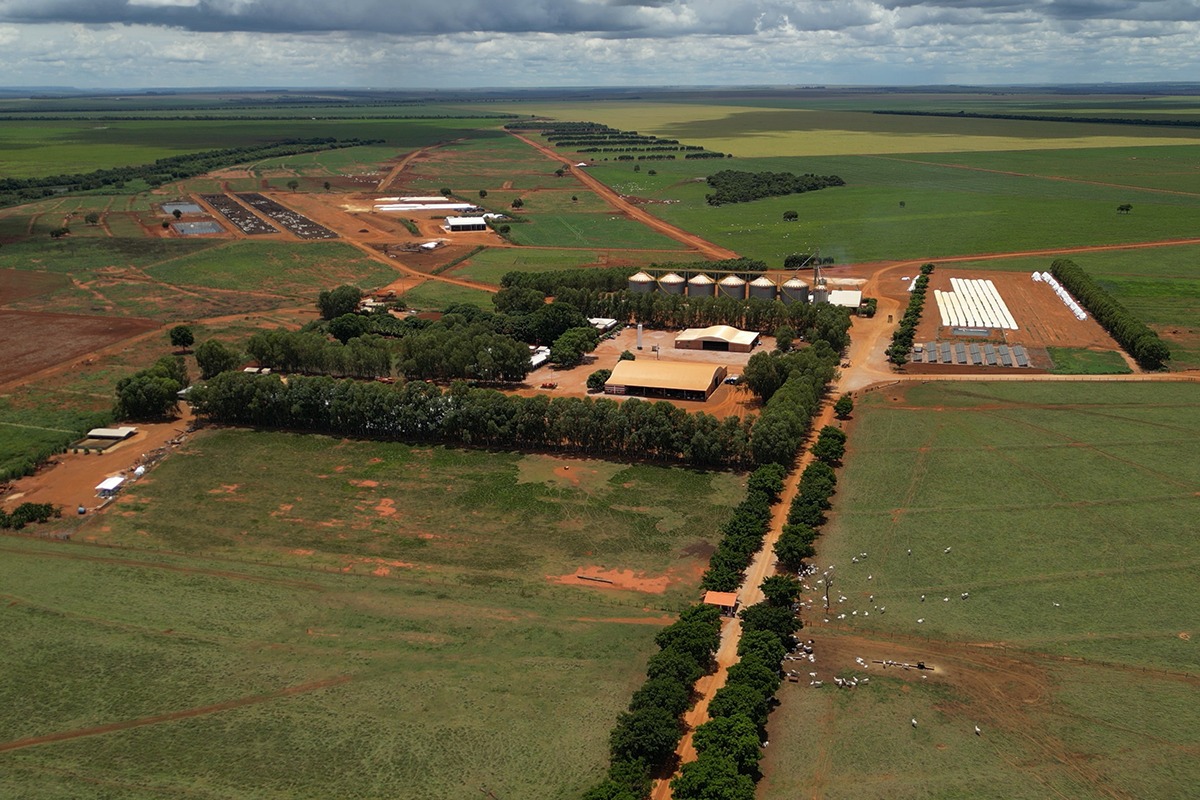 Pecuária em Fazenda no Mato Grosso