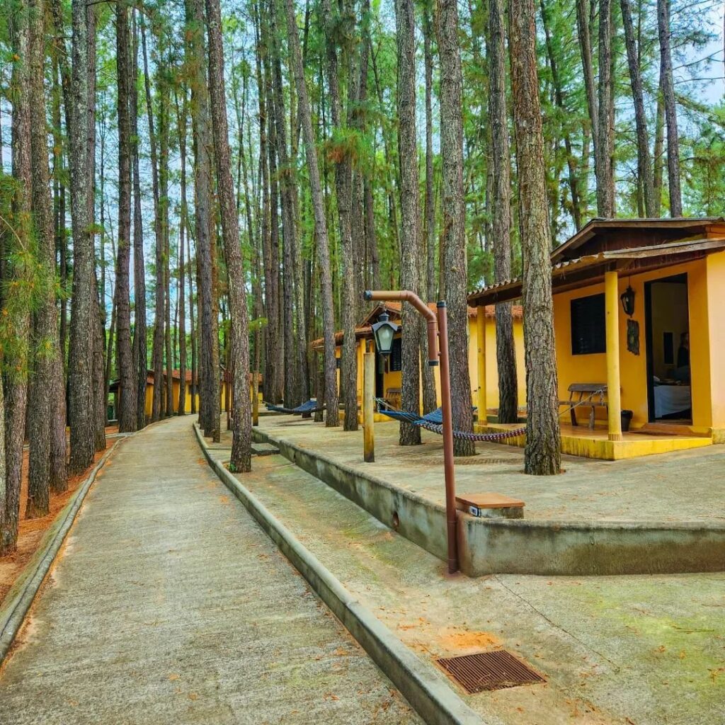 Fazenda em um ambiente rural com natureza exuberante, ideal para turismo ecológico.