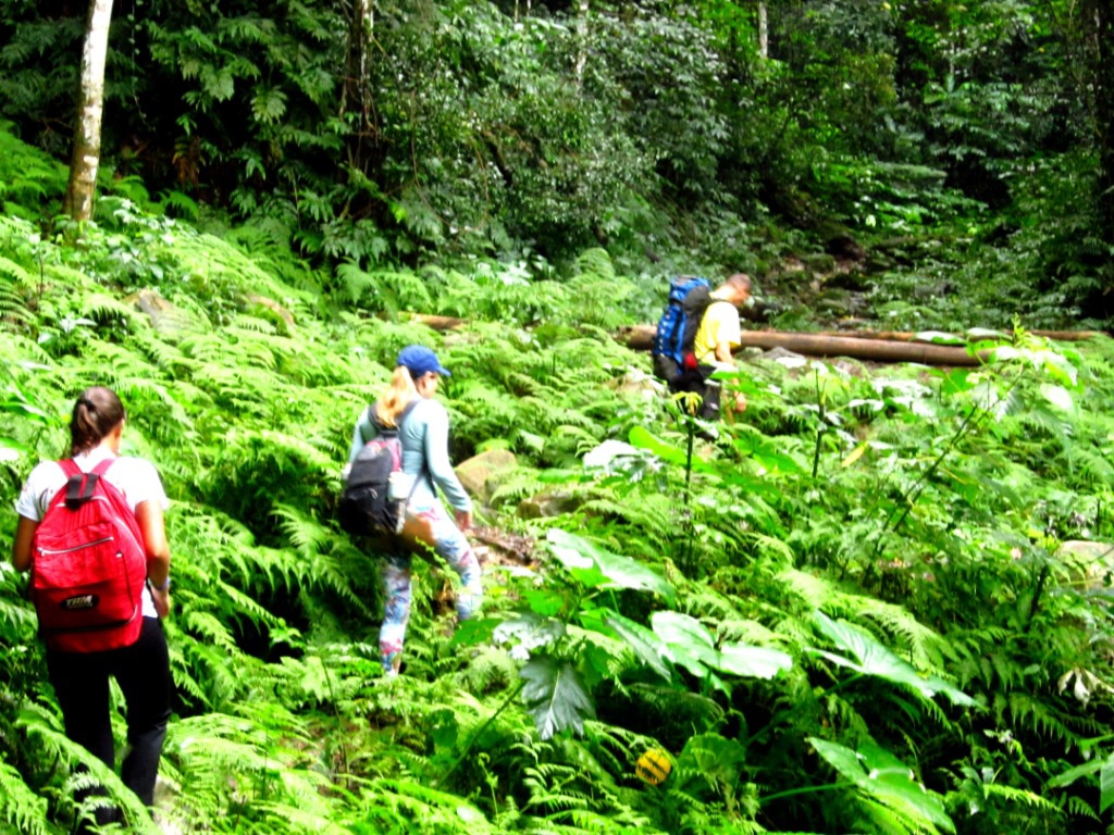 Atividades de ecoturismo em Ilhabela com vista para a natureza exuberante e rústica que encanta os amantes do country.