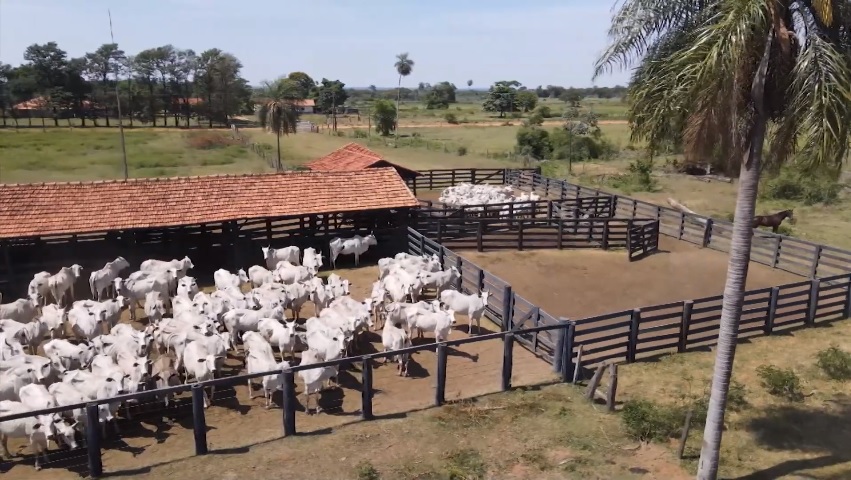 Vista de uma fazenda tradicional com gado pastando ao pôr do sol.