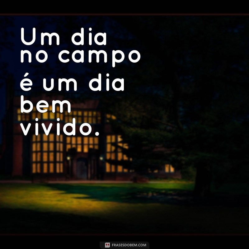 Uma bela vista do campo, com pastagens verdes e um celeiro ao fundo, simbolizando a vida rural.