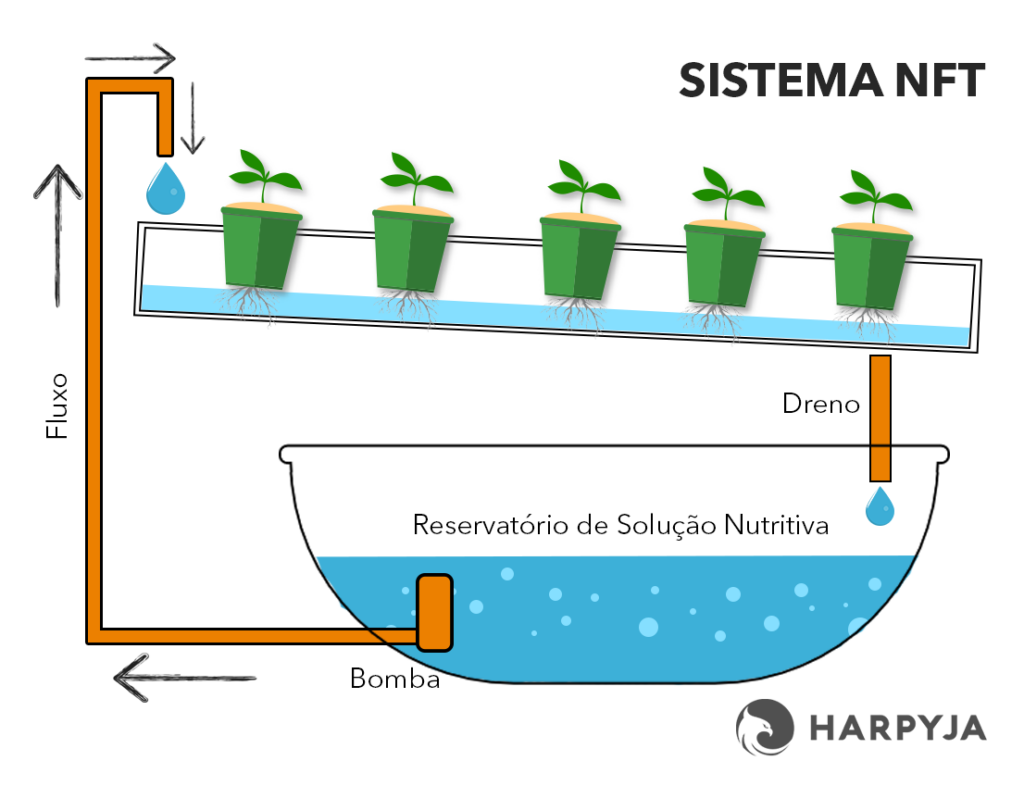 Horta caseira com vegetais frescos cultivados em sistema hidropônico.