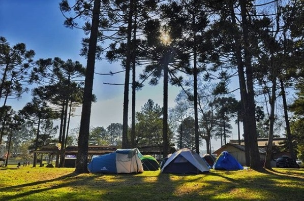 Uma cena encantadora de um acampamento na fazenda com tendas e natureza ao redor.