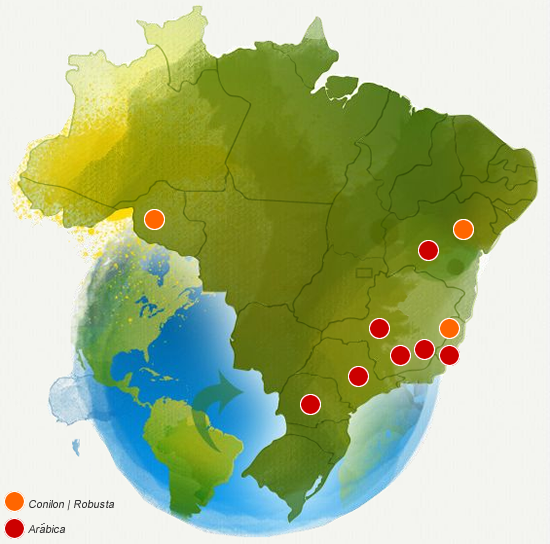 Plantação de café em uma paisagem rural