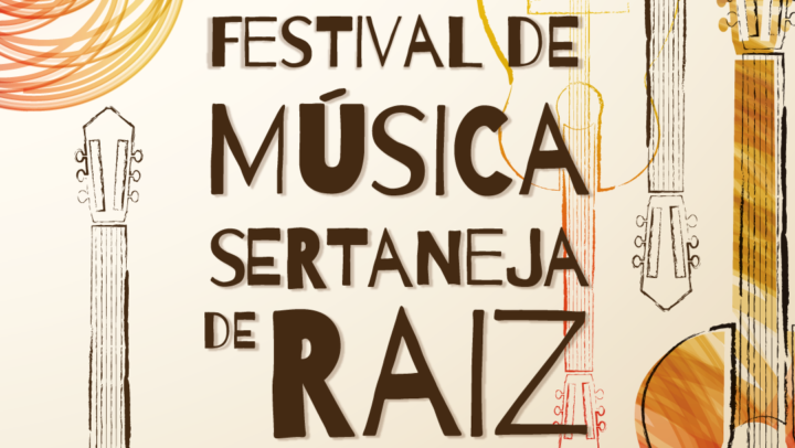 Festival de Música Sertaneja com artistas country se apresentando no palco.