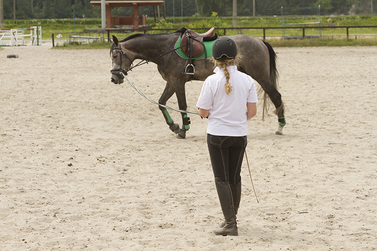 Cavaleiro se preparando para competição equestre com seu cavalo em um campo aberto