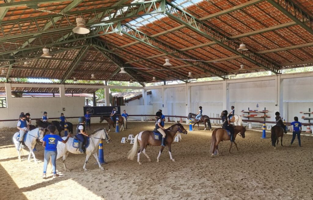 Cavaleiro em ação durante uma aula de hipismo em uma escola de pôneis, demonstrando técnicas de equitação segura.