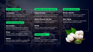 época de plantio algodão por região do Brasil - Syngenta Digital