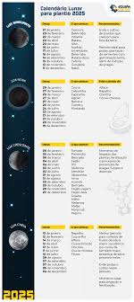 Calendário Lunar para Plantio 2025: O Que e Quando Plantar