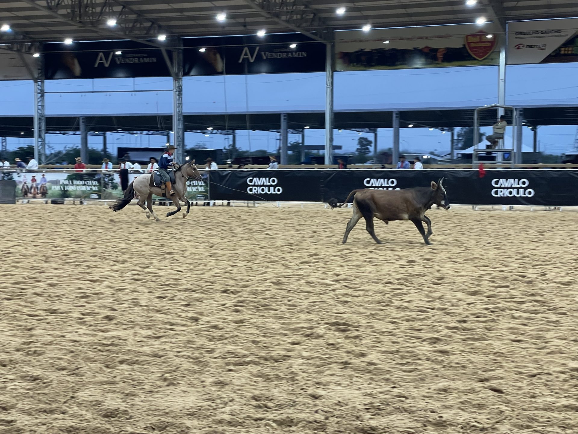 Rodeio com competidores preparando-se para a disputa de laço, em um evento tradicional country