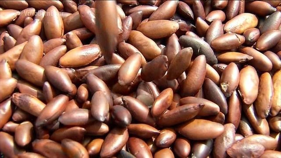 Comida típica do Cerrado brasileiro com ingredientes regionais.