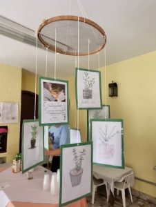 Uma deliciosa mesa repleta de pratos típicos da culinária rural, com produtos frescos e coloridos do campo.